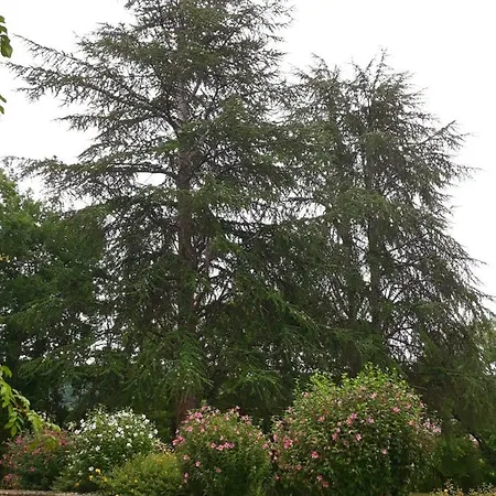Propriété Avec Piscine De 2 à 9 Personnes, De Saint Donat, Casa vacanze